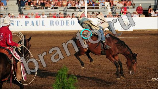 игра Где же кот помощь Уровень 1539