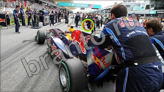 ответы для игры Где же кот Уровень 1547