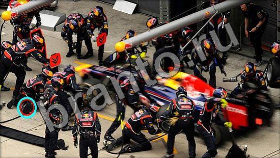 Где же кот помощь в картинках Уровень 1551