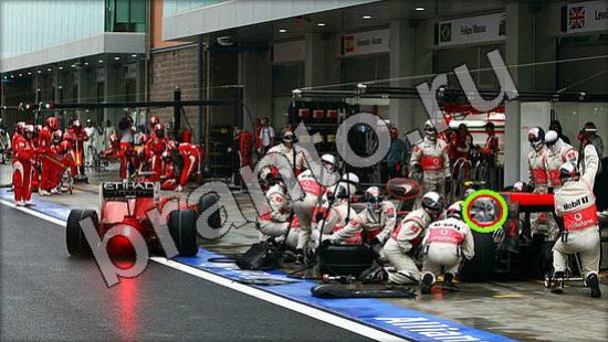 решения на игру Где же кот Уровень 1555