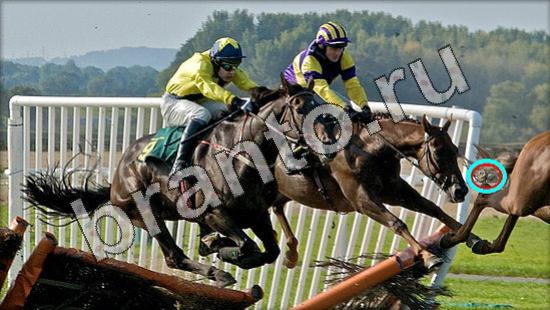 Подсказки на игру Где же кот Уровень 1562