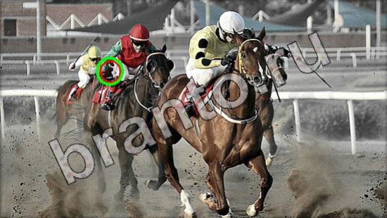 Решения на игру Где же кот Уровень 1563