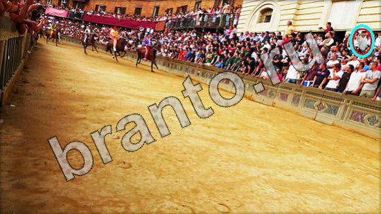 Помощь на игру Где же кот Уровень 1564