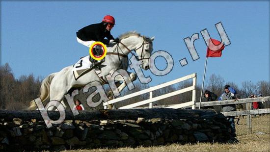 Где же кот? помощь Уровень 1570