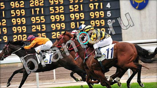 решебник на игру Где же кот Уровень 1571