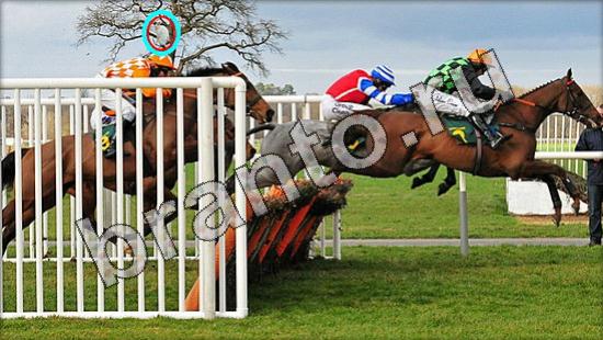 Где же кот игра ответы Уровень 1573