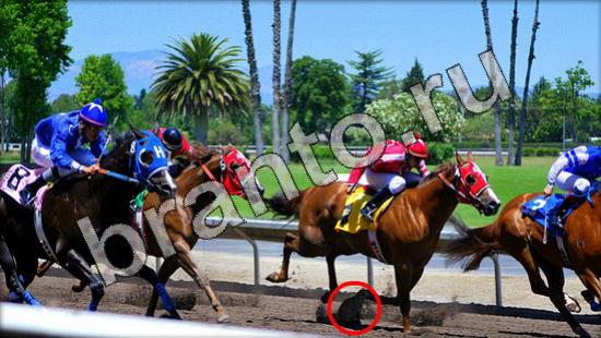 Где же кот игра подсказки Уровень 1574