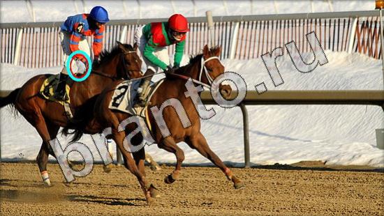 Где же кот игра помощь Уровень 1575