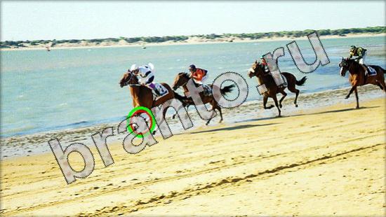 Игра Где же кот ответы Уровень 1577