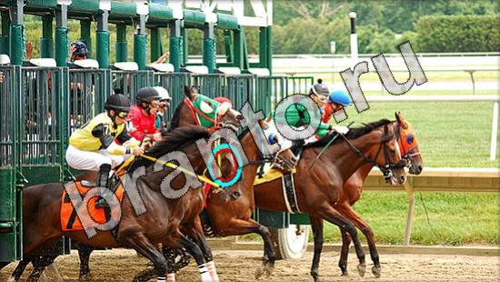 игра Где же кот помощь Уровень 1579