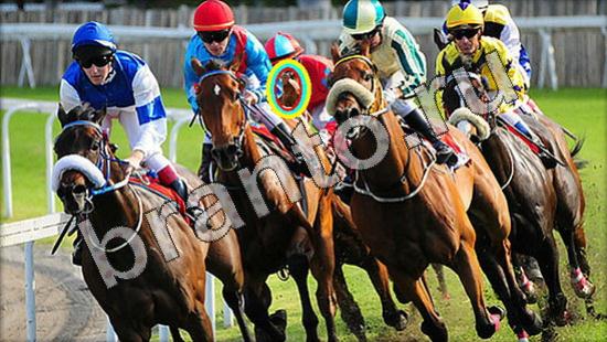 Игра Где же кот прохождение Уровень 1580