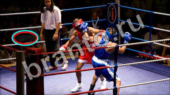 прохождение на игру Где же кот Уровень 1581