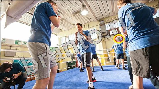 Где же кот прохождение игры Уровень 1582