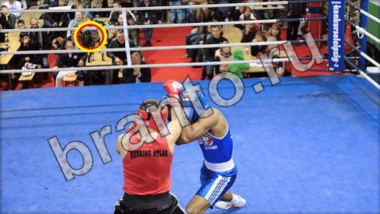 ответы на игру Где же кот в одноклассниках Уровень 1583