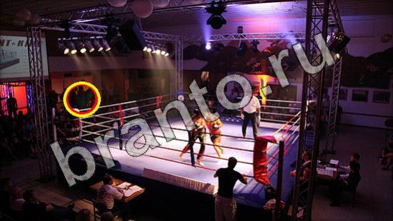 ответы Где же кот Уровень 1585