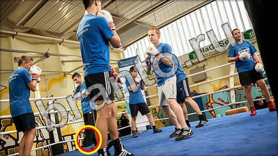 ответы Где же кот? в одноклассниках Уровень 1586