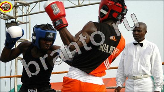 ответы для игры Где же кот Уровень 1587