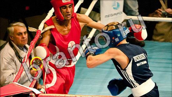 решения для игры Где же кот Уровень 1588