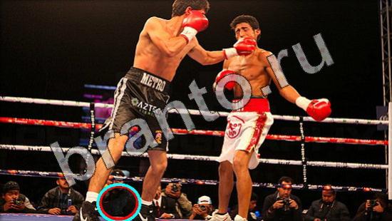 Где же кот помощь в картинках Уровень 1591