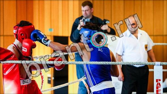 ответы на игру Где же кот Уровень 1594