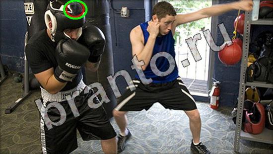 Где же кот ответы в одноклассниках Уровень 1599