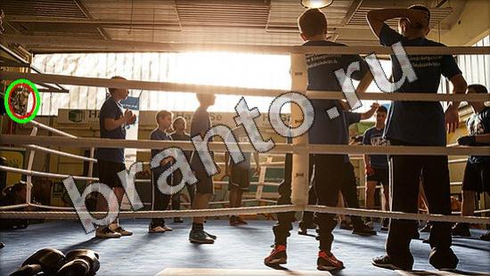 Где же кот игра ответы Уровень 1600