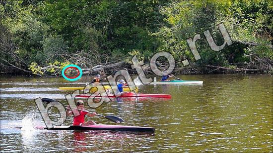 Подсказки на игру Где же кот Уровень 1602