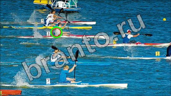 Решения на игру Где же кот Уровень 1603