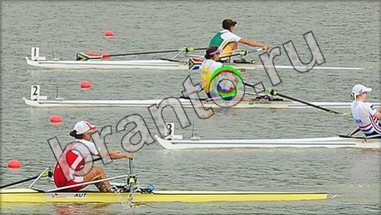 Помощь на игру Где же кот Уровень 1604