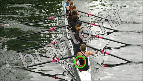 ответы на игру в одноклассниках Где же кот Уровень 1606