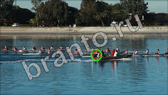 Где же кот игра ответы в одноклассниках Уровень 1607