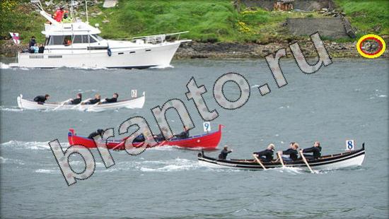 Где же кот? ответы Уровень 1608