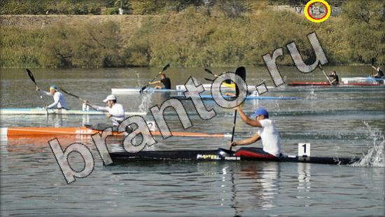 Где же кот? подсказки Уровень 1609