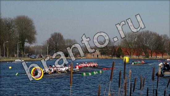 Где же кот? помощь Уровень 1610