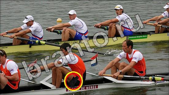 решебник на игру Где же кот Уровень 1611