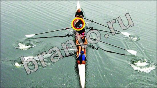 Где же кот? решения Уровень 1612