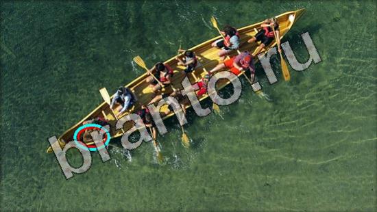 Где же кот игра помощь Уровень 1615