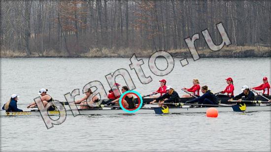 игра Где же кот помощь Уровень 1619