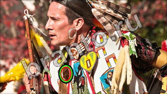 Где же кот прохождение игры Уровень 1622