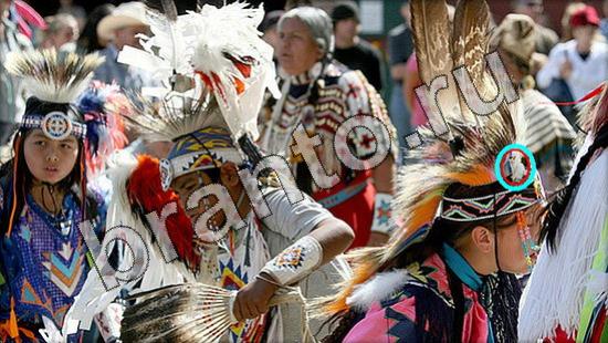 Прохождение игры Где же кот Уровень 1624