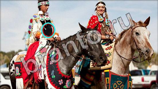 ответы Где же кот Уровень 1625