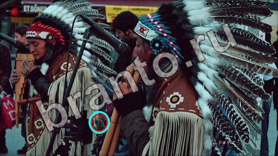 ответы Где же кот? в одноклассниках Уровень 1626