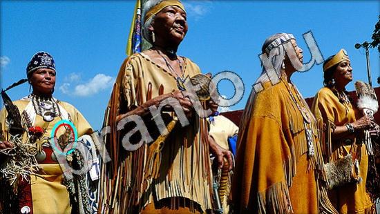 ответы для игры Где же кот Уровень 1627