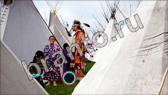 Где же кот игра ответы Уровень 1629