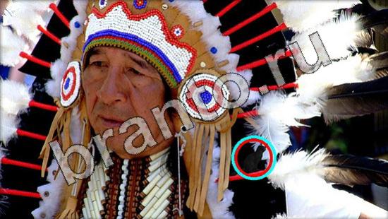 Где же кот помощь в картинках Уровень 1631