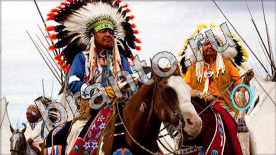 Где же кот ответы на новые задания Уровень 1633