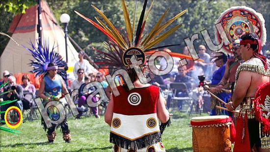 ответы на игру Где же кот Уровень 1634