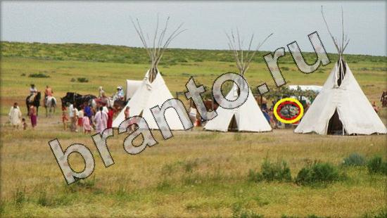 решения на игру Где же кот Уровень 1635