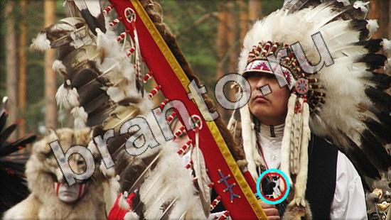 Где же кот ответы в одноклассниках Уровень 1639