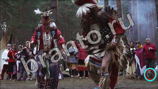 Где же кот игра ответы Уровень 1640